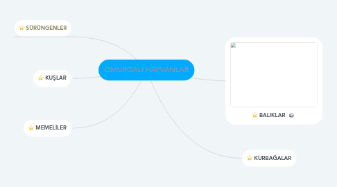 Mind Map: OMURGALI HAYVANLAR