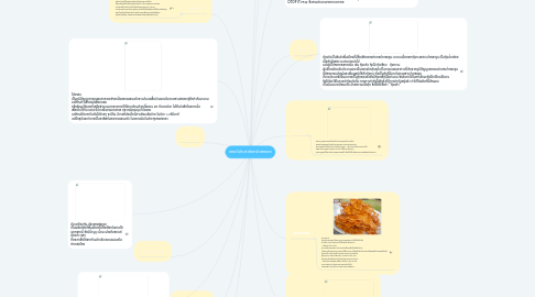 Mind Map: ของดีประจำจังหวัดสงขลา