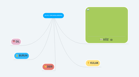 Mind Map: DUYU ORGANLARIMIZ