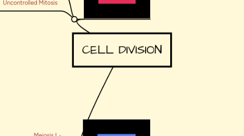 Mind Map: CELL DIVISION