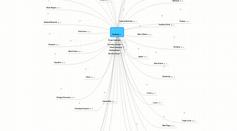 Mind Map: Vocabulary