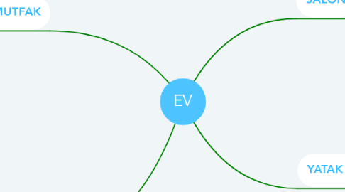 Mind Map: EV