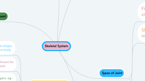 Mind Map: Skeletal System