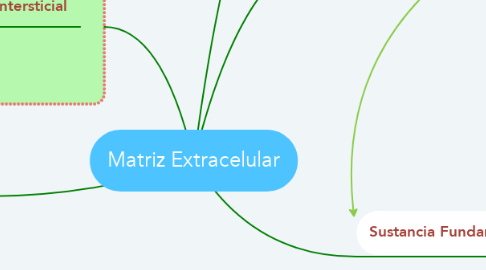 Mind Map: Matriz Extracelular