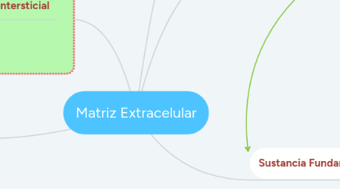 Mind Map: Matriz Extracelular