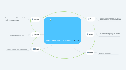 Mind Map: Plant Parts And Functions