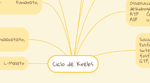 Mind Map: Ciclo de Krebs