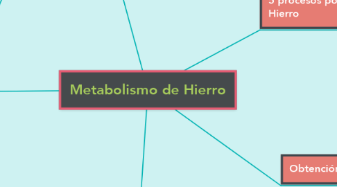 Mind Map: Metabolismo de Hierro
