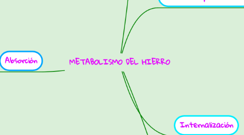 Mind Map: METABOLISMO DEL HIERRO