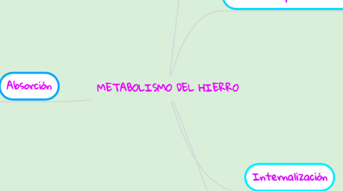 Mind Map: METABOLISMO DEL HIERRO