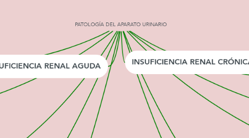 Mind Map: PATOLOGÍA DEL APARATO URINARIO