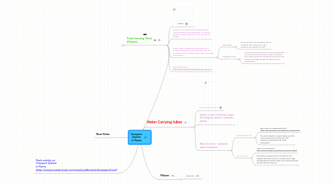 Mind Map: Transport System in Plants