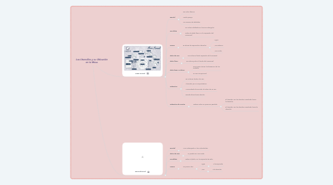 Mind Map: Los Utensilios y su Ubicación en la Mesa
