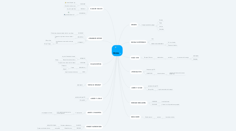 Mind Map: FISICA