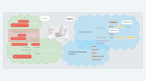 Mind Map: Nervo Mandibular