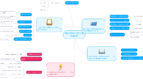 Mind Map: PROCESO LECTOR INELAF