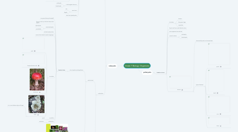 Mind Map: Grade 7 Biology: Organisms