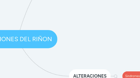 Mind Map: FUNCIONES DEL RIÑON