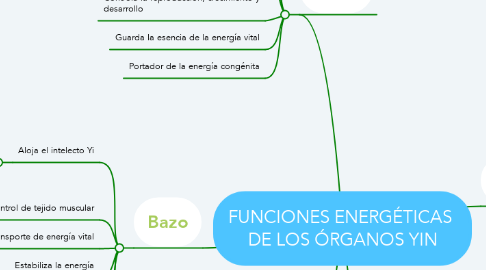 Mind Map: FUNCIONES ENERGÉTICAS  DE LOS ÓRGANOS YIN