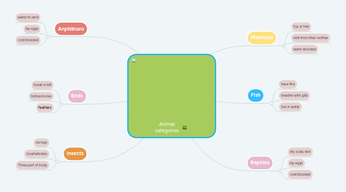 Mind Map: Animal categories