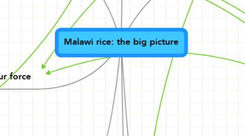 Mind Map: Malawi rice: the big picture