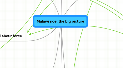 Mind Map: Malawi rice: the big picture