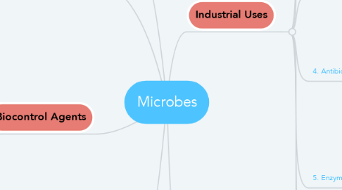 Mind Map: Microbes