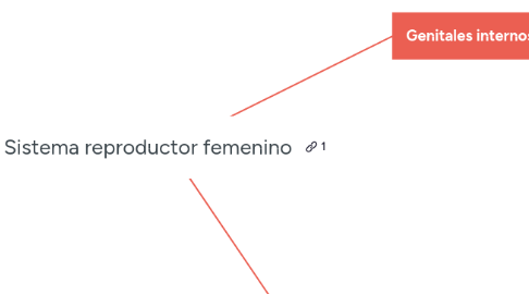 Mind Map: Sistema reproductor femenino