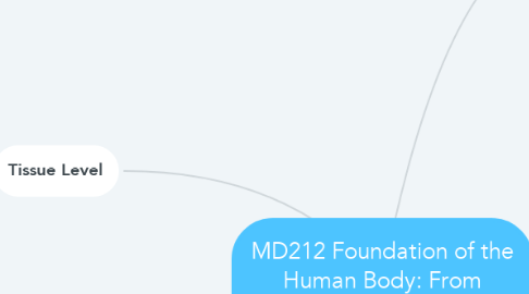 Mind Map: MD212 Foundation of the Human Body: From Molecules to Body