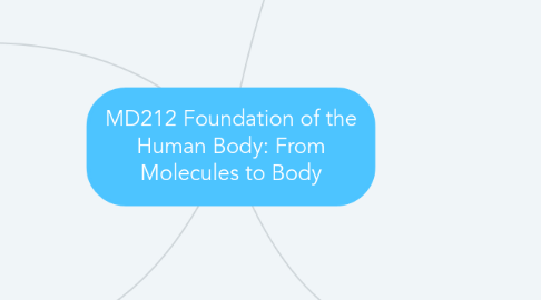 Mind Map: MD212 Foundation of the Human Body: From Molecules to Body