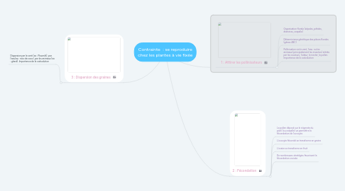 Mind Map: Contrainte  : se reproduire chez les plantes à vie fixée