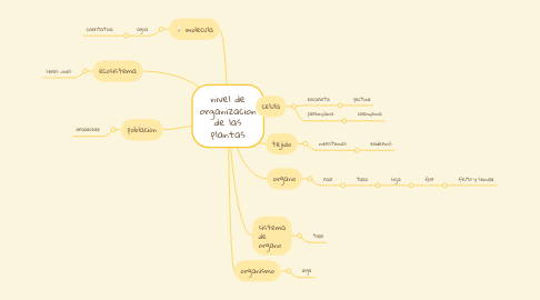 Mind Map: nivel de organizacion de las plantas