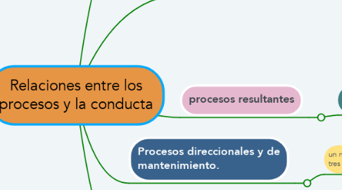 Mind Map: Relaciones entre los procesos y la conducta