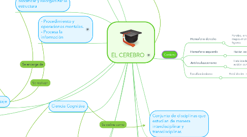 Mind Map: EL CEREBRO