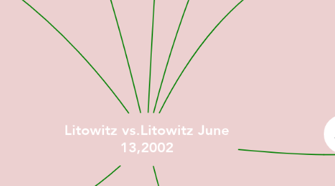 Mind Map: Litowitz vs.Litowitz June 13,2002