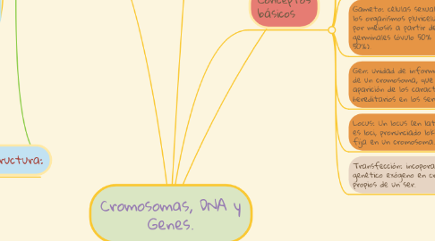 Mind Map: Cromosomas, DNA y Genes.