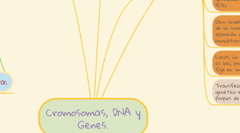 Mind Map: Cromosomas, DNA y Genes.