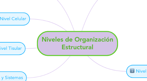 Mind Map: Niveles de Organización Estructural