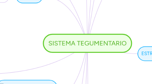 Mind Map: SISTEMA TEGUMENTARIO