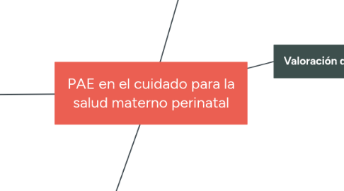 Mind Map: PAE en el cuidado para la salud materno perinatal