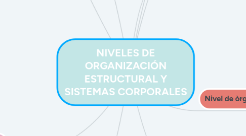 Mind Map: NIVELES DE ORGANIZACIÓN ESTRUCTURAL Y SISTEMAS CORPORALES