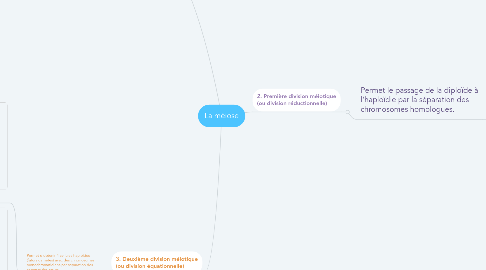 Mind Map: La méiose