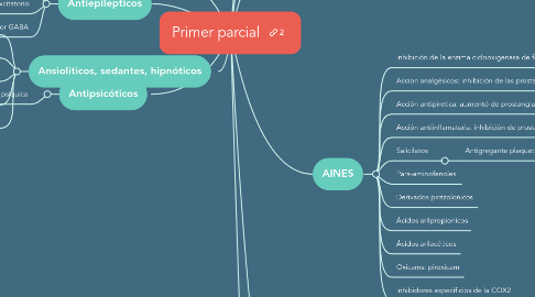 Mind Map: Primer parcial