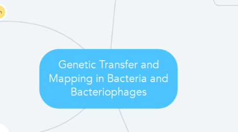 Mind Map: Genetic Transfer and Mapping in Bacteria and Bacteriophages