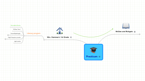 Mind Map: Practicum