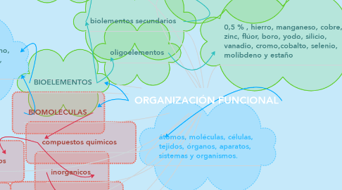 Mind Map: ORGANIZACIÓN FUNCIONAL