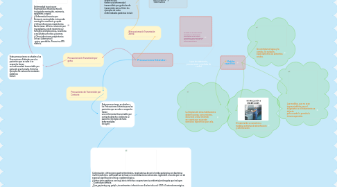 Mind Map: tipos de aislamiento, precauciones y medidas de control