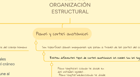 Mind Map: NIVELES DE ORGANIZACIÓN ESTRUCTURAL