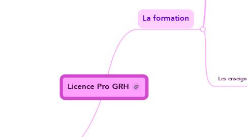 Mind Map: Licence Pro GRH