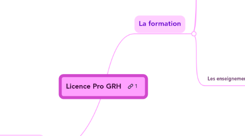 Mind Map: Licence Pro GRH